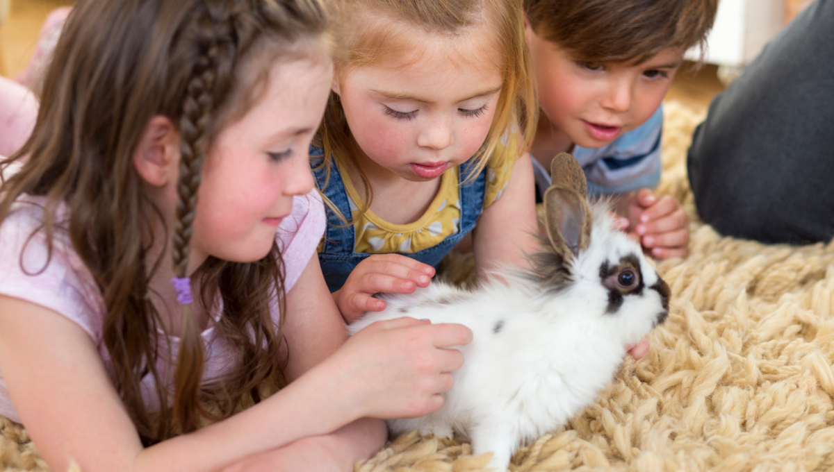 Ferie zimowe w Warszawie